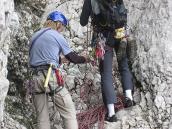 Herbstliches Ahornblatt