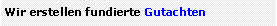 Textfeld: Wir erstellen fundierte Gutachten