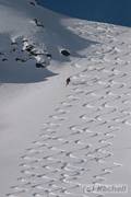 Foto Eisklettern in den �tztaler Alpen